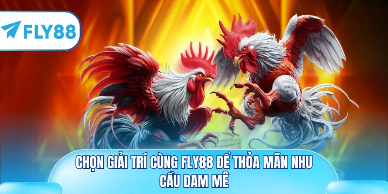 Chọn giải trí cùng Fly88 để thỏa mãn nhu cầu đam mê