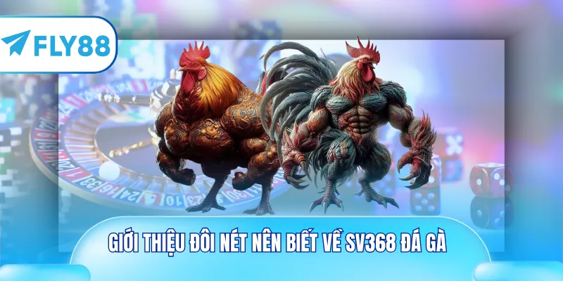 Giới thiệu đôi nét nên biết về SV368 đá gà