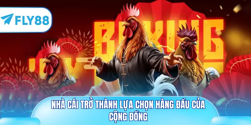 Nhà cái trở thành nơi được yêu thích hàng đầu